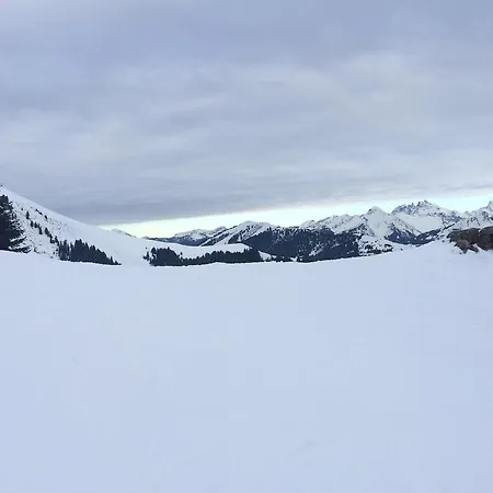 Appartement Le Praz De Lys Apartment Le Praz de Lys