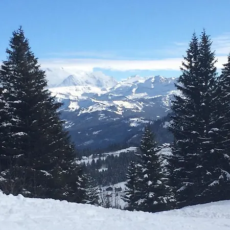 Appartement Le Praz De Lys Apartment *
