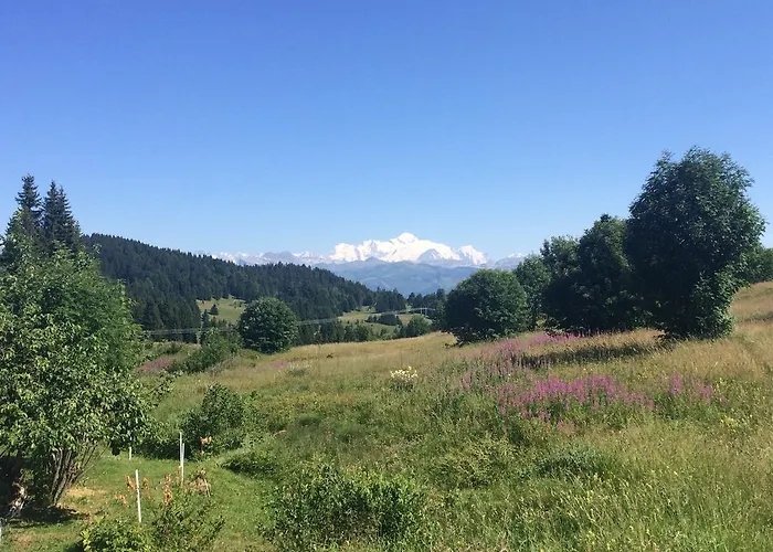 Appartement Le Praz De Lys *